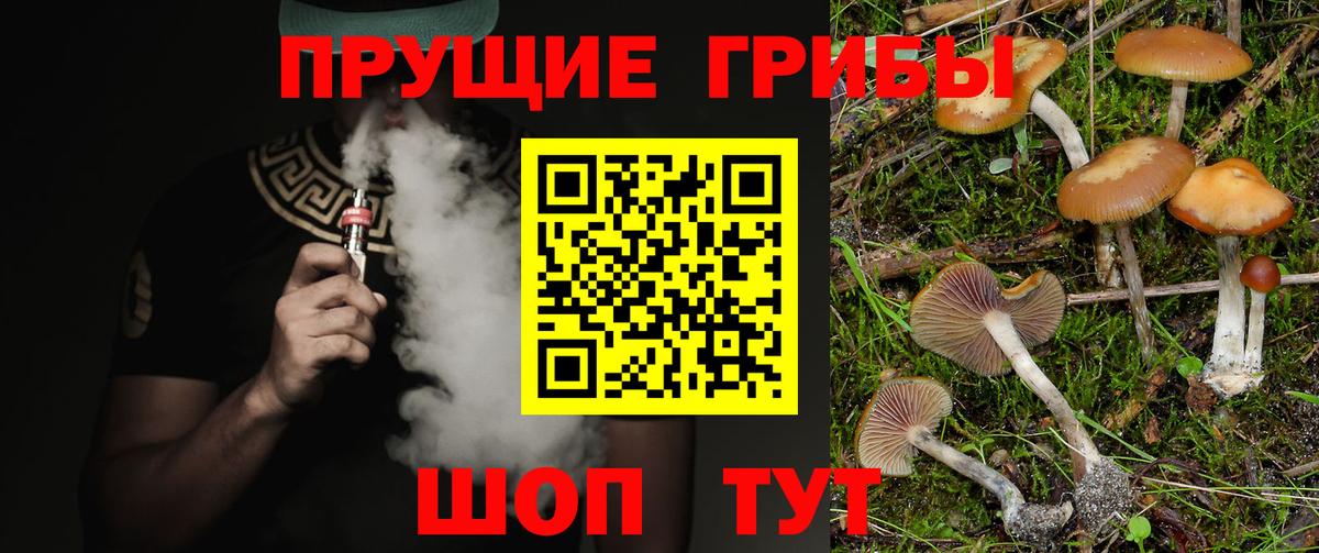 Шатура  Галлюциногенные грибы Psilocybe  Вход с VPN 