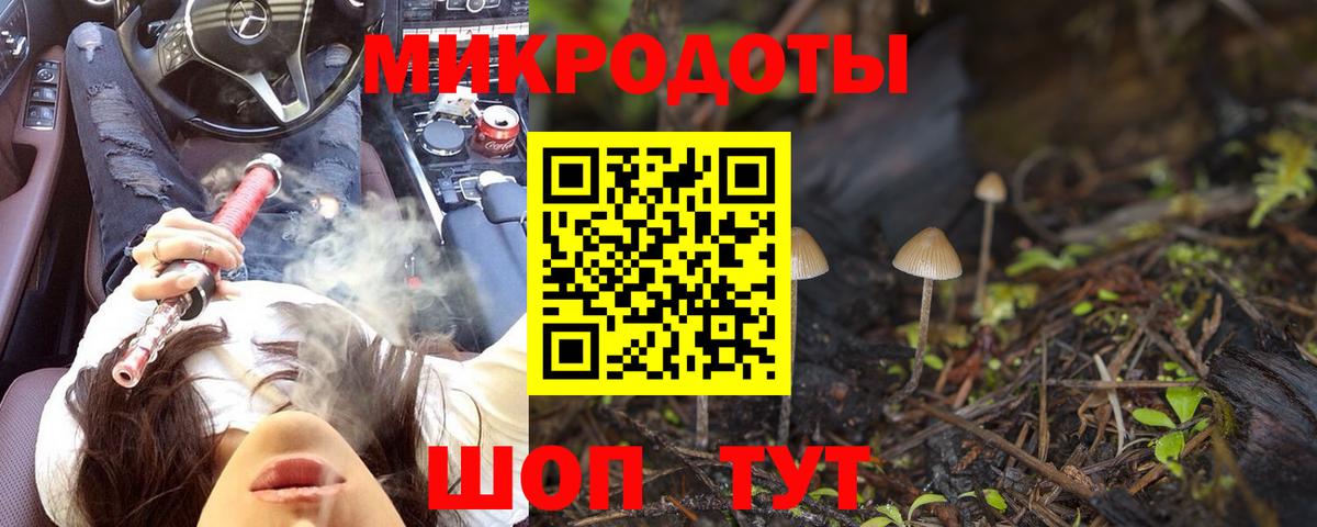 Псилоцибиновые грибы мицелий Шатура